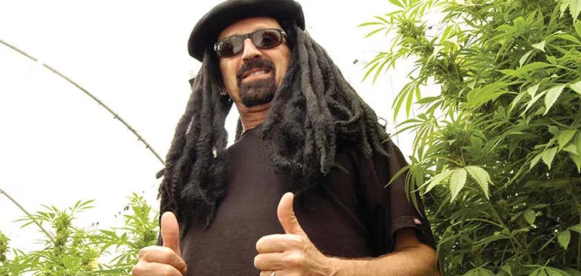 Jorge Cervantes: Don Quijote del manso cogollo