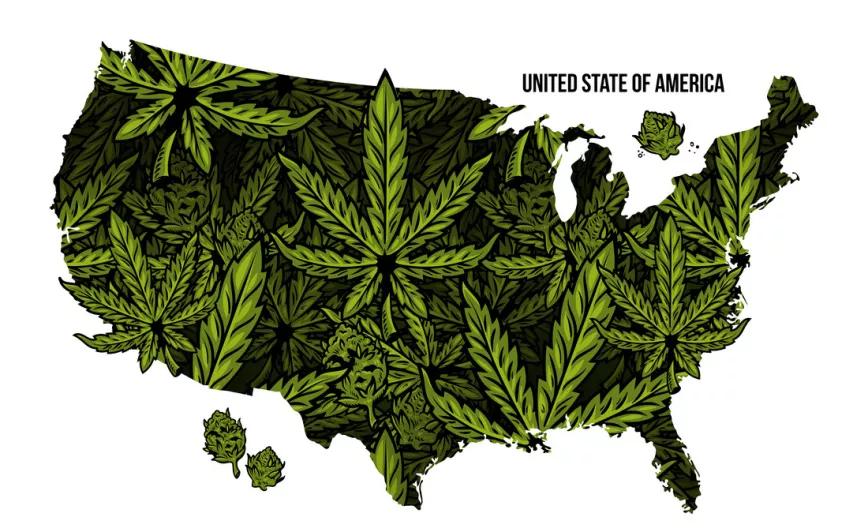 Los estaudinidenses que votaron a favor de legalizar no se arrepienten de ello