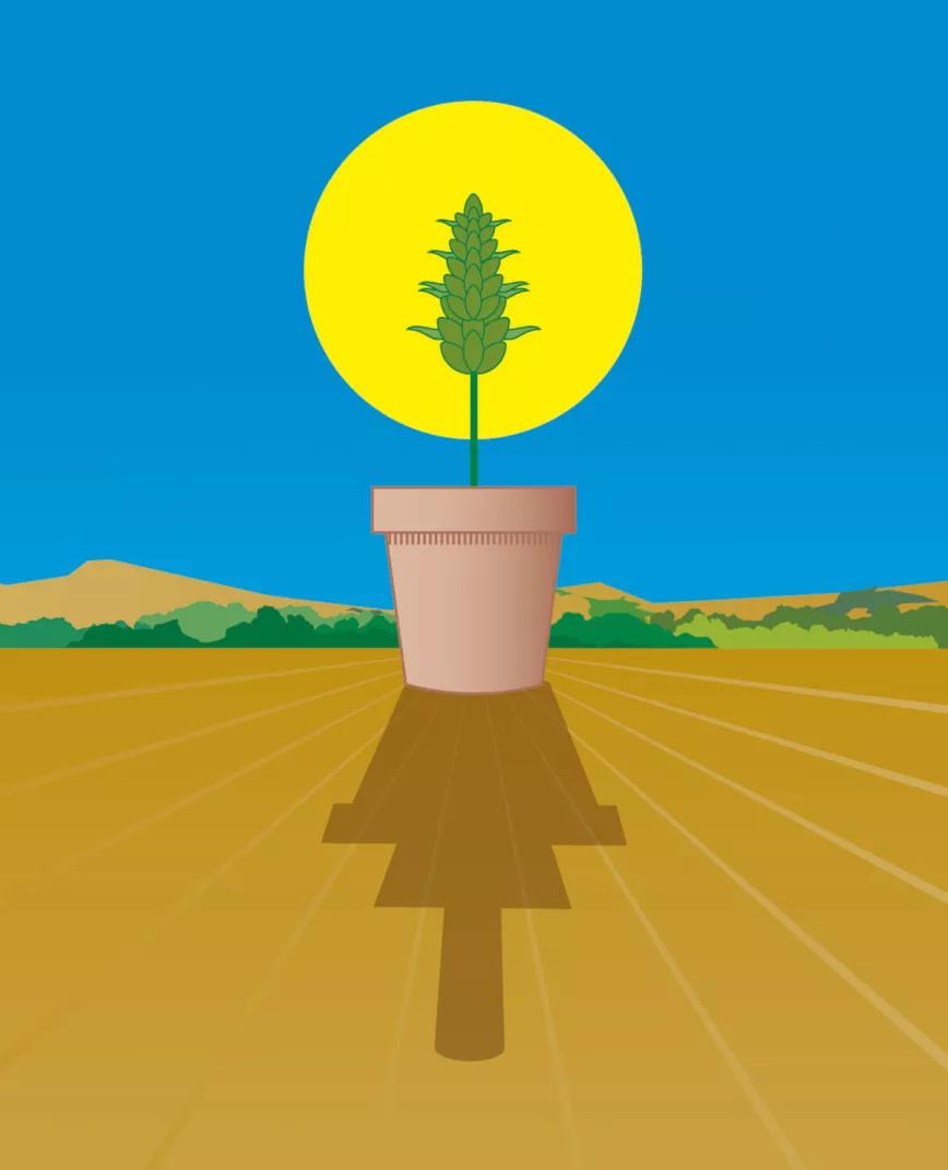 Ilustración: Lunario Junio 2020