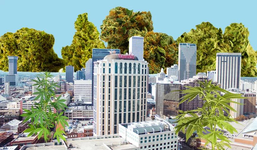 Luisiana amplía su programa de marihuana medicinal