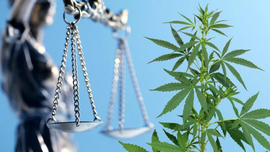 Virginia descriminaliza en cannabis el día 1 de julio