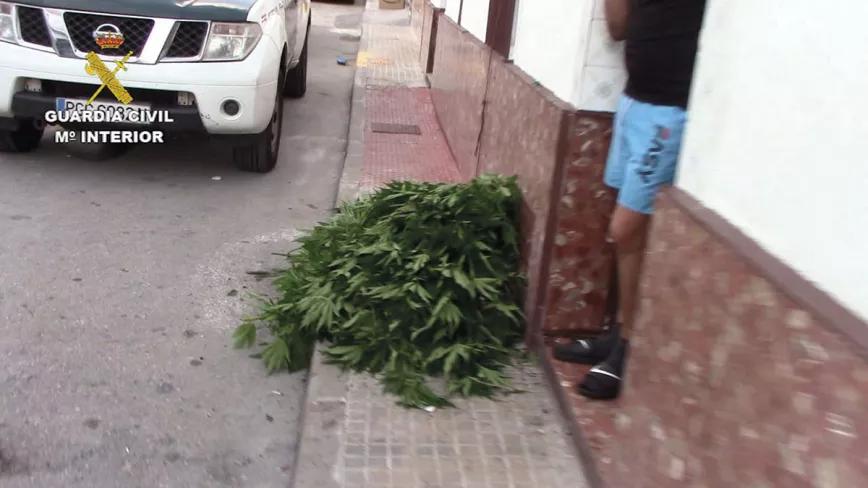 Redada en 19 viviendas de Cádiz