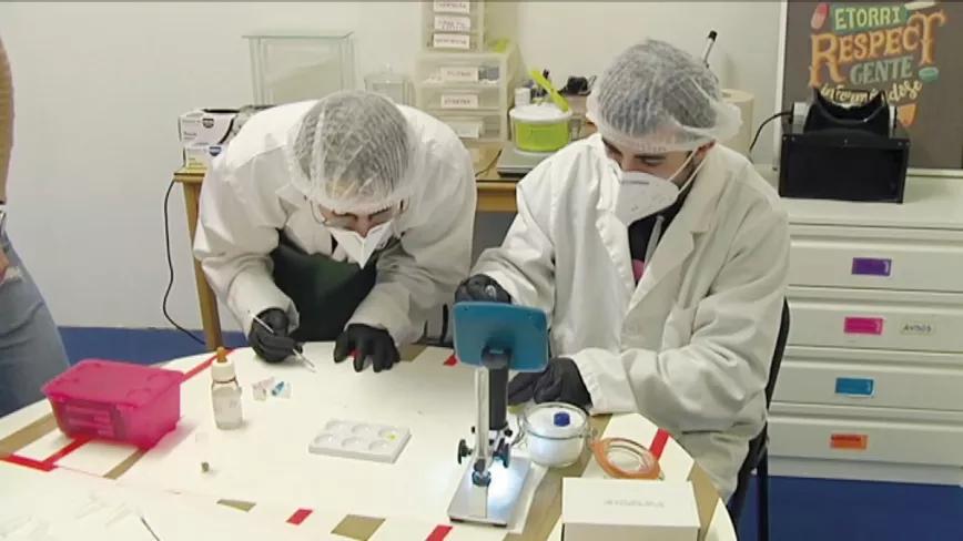 Asociación Ai Laket!! 