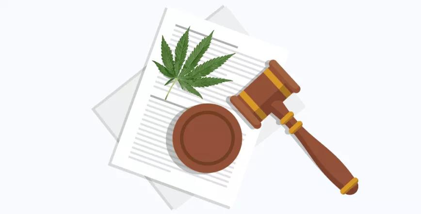 Diferencias entre legalización, despenalización, normalización y regulación.