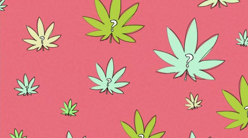 Situación kafkiana. Editorial #272