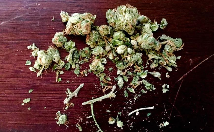 Más cosas que hacer con los tallos que sobran de nuestra marihuana