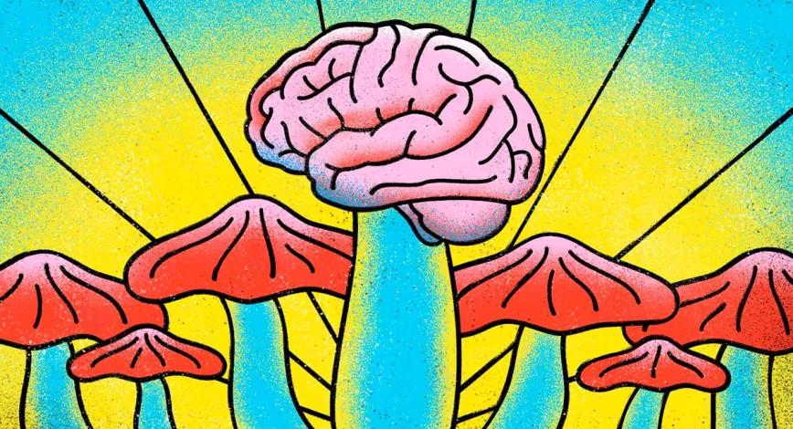 Los esfuerzos por descriminalizar la psilocibina se extienden por los Estados Unidos