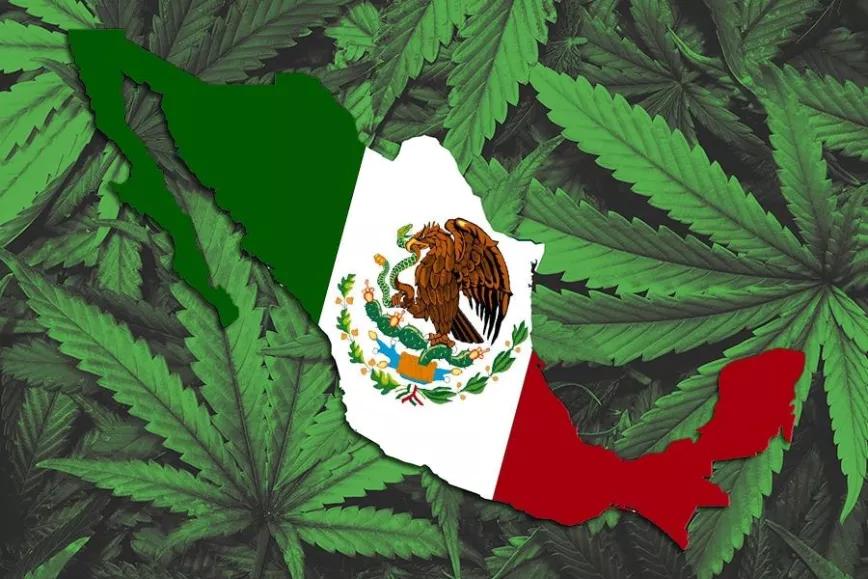 Será el Congreso el que decida sobre la marihuana en México
