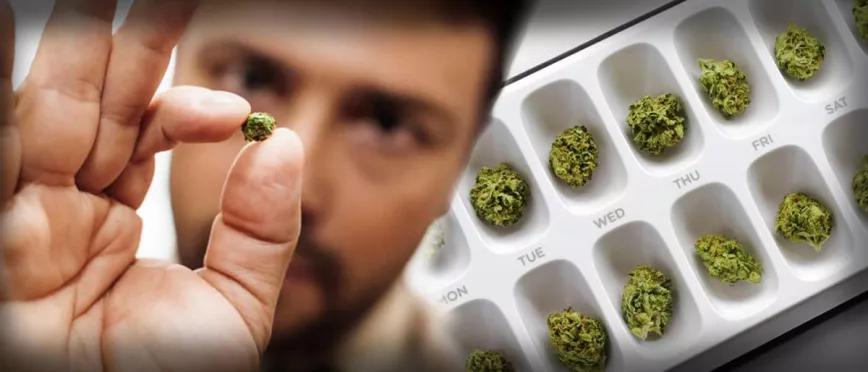 Dosis ultra-bajas de cannabis: ¿cuánto sigue siendo “mucho” cannabis?