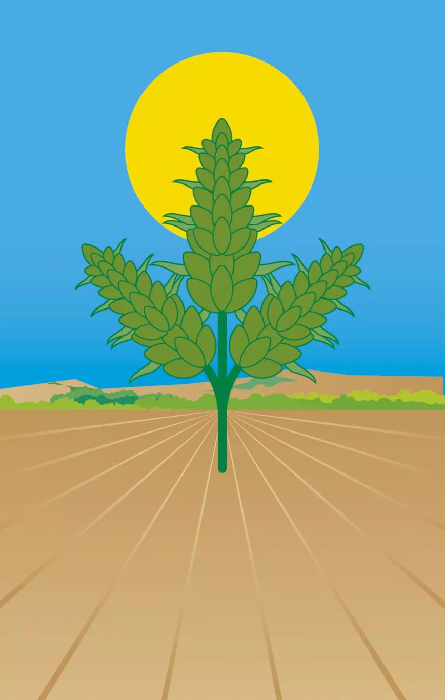 Lunario Septiembre 2020