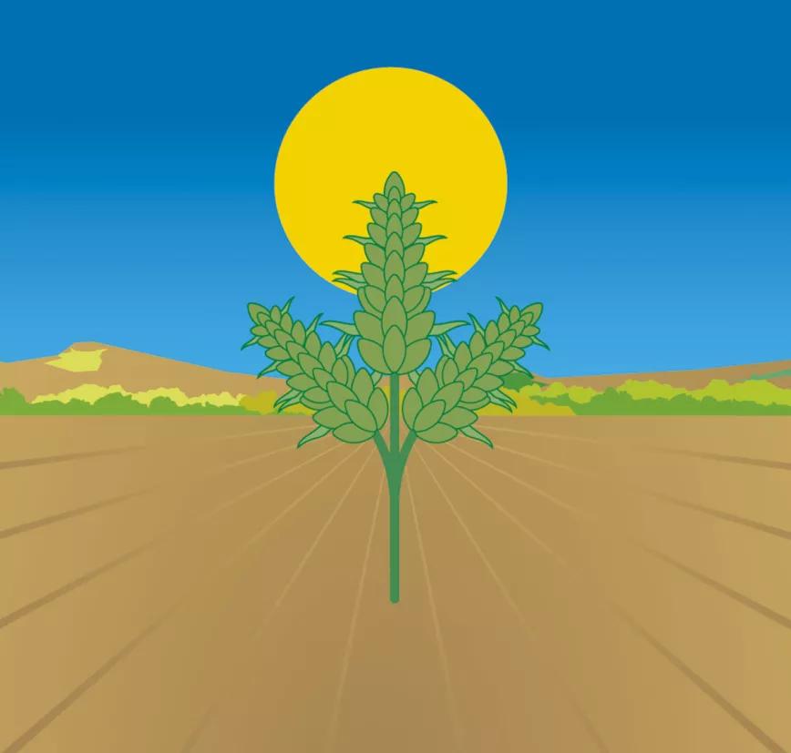 Lunario Octubre 2020