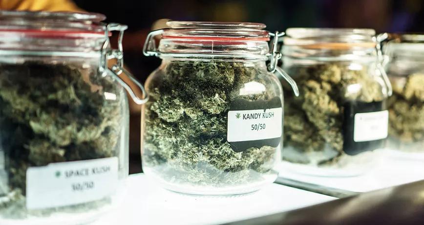 Ontario (Canadá) reduce el precio del cannabis para competir con el mercado negro