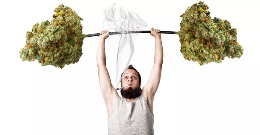 Es más potente la marihuana actual