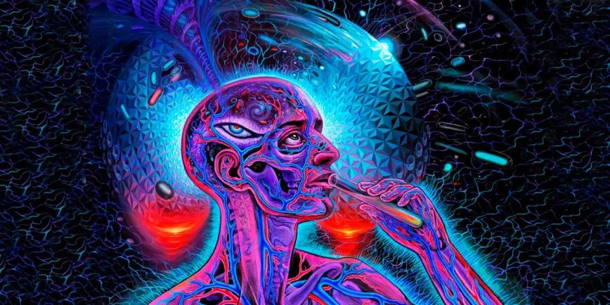 DMT promueve la neurogénesis, mejora la memoria y el aprendizaje espacial