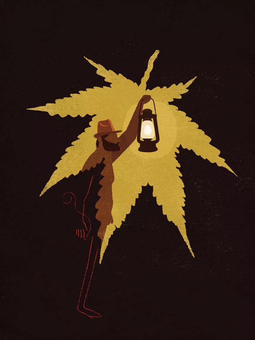 Ilustración: cannabis, activismo