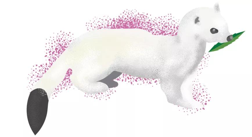 Ilustración: animalons