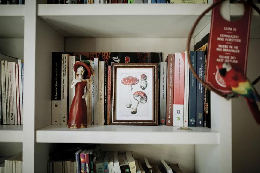 Biblioteca de Oriol Romaní