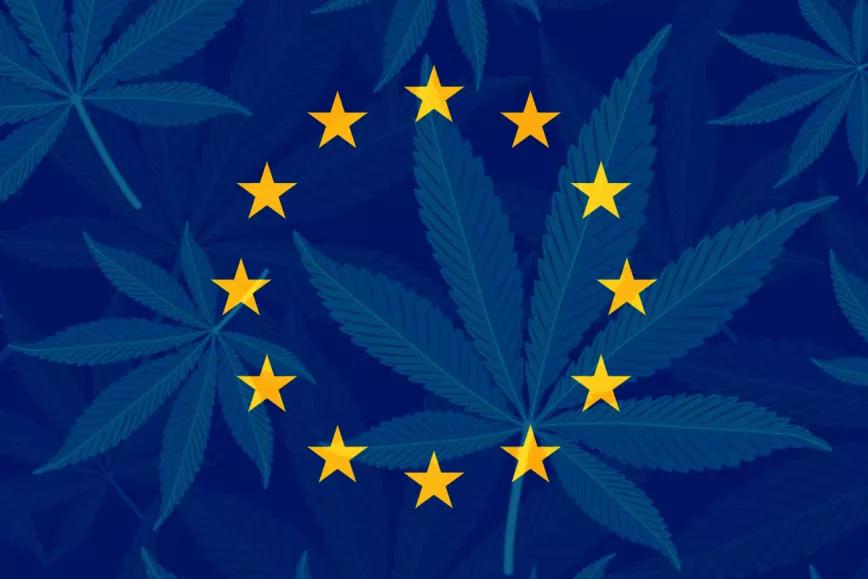 La Justicia Europea considera ilegal la prohibición del CBD en Francia