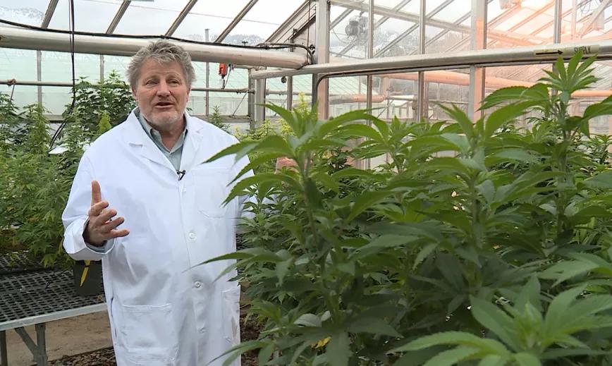 Un científico de la NASA experto en plantas enseña a cultivar cannabis