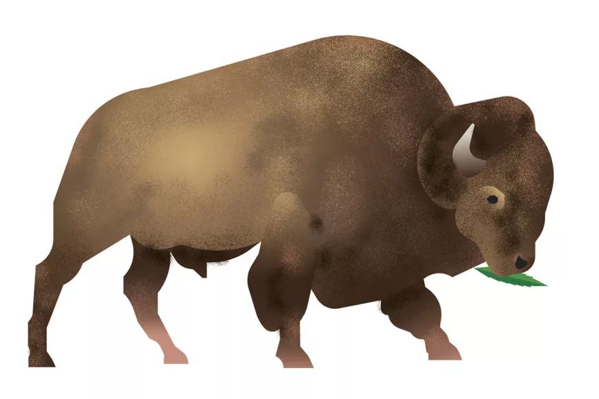 ‘Shitty elections’