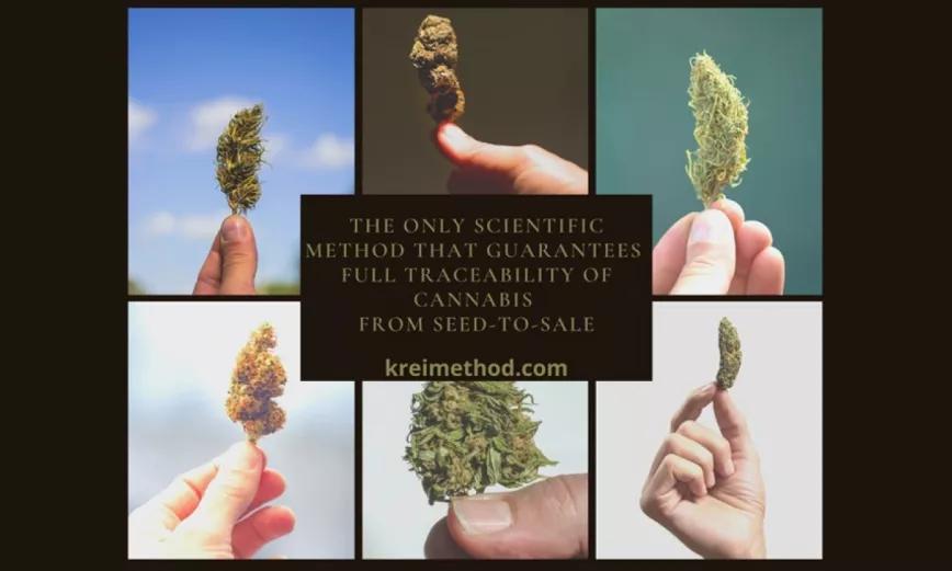 Una empresa de Tarragona patenta un método de rastreo genético para el cannabis