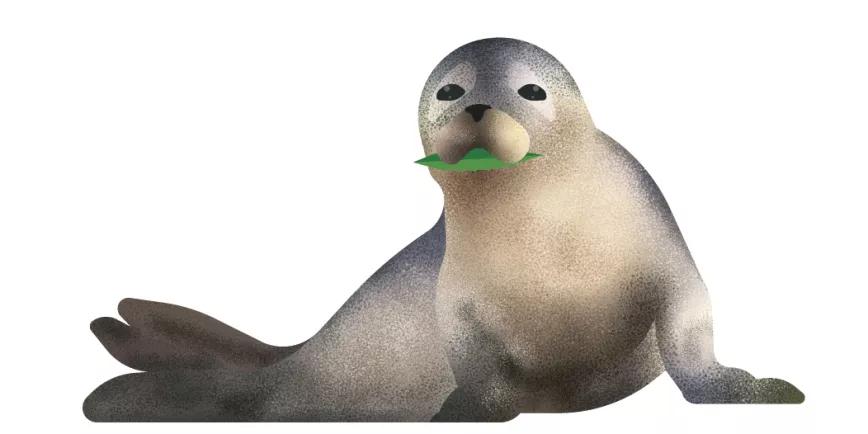 El amor a maría en tiempos de pandemia 