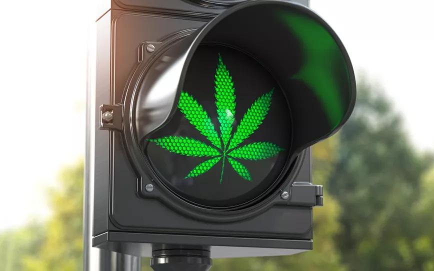 El uso de CBD no afecta a la conducción, y el THC afecta moderadamente