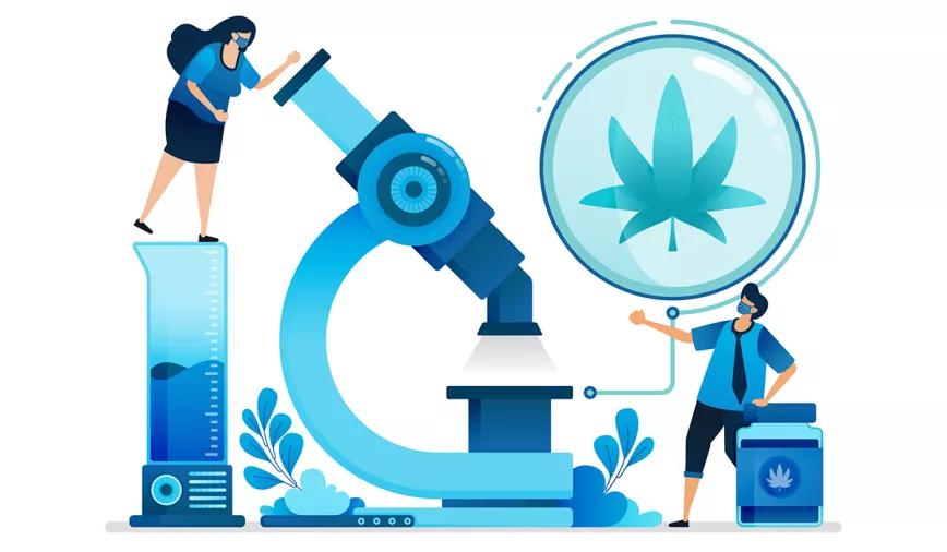 EE UU vota una ley para facilitar la investigación con cannabis