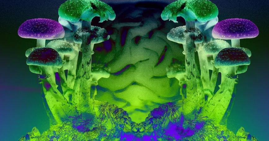La psilocibina podría servir como tratamiento para la migraña crónica según un estudio