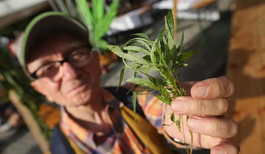 Una de cada 200 personas mayores de 65 años usó cannabis en el último año