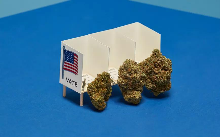 Los votantes de Georgia decidirán el futuro de la hierba en todo EE UU 