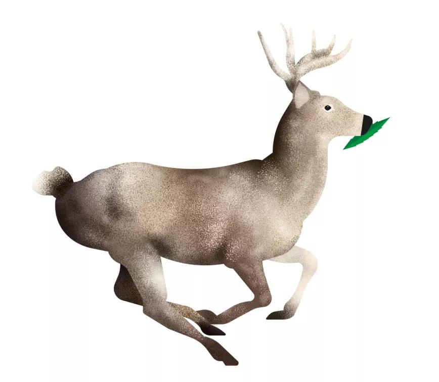 2020: una de cal por las que van de arena 