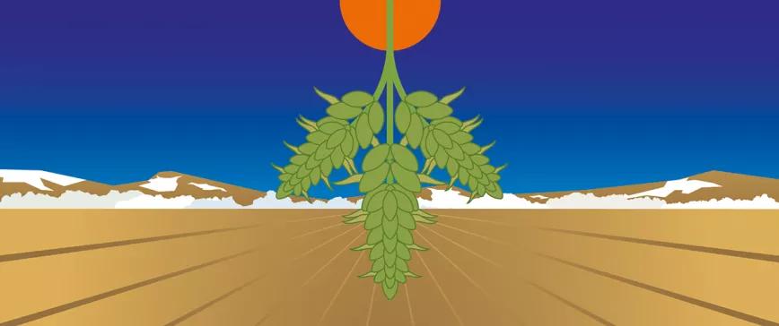 Comienza el año gregoriano 