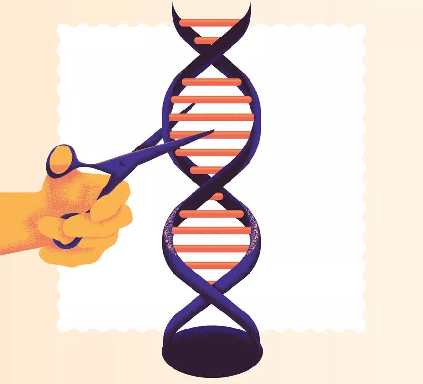 El futuro de las drogas (más un hasta luego). Por José Carlos Bouso 