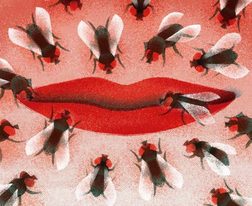 “En boca cerrada, no entran moscas”