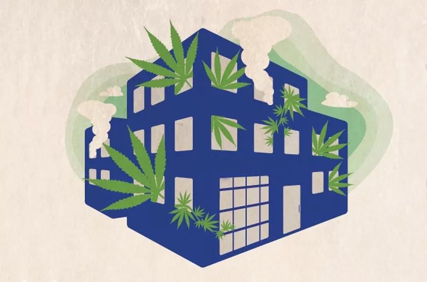 Editorial Cáñamo #278