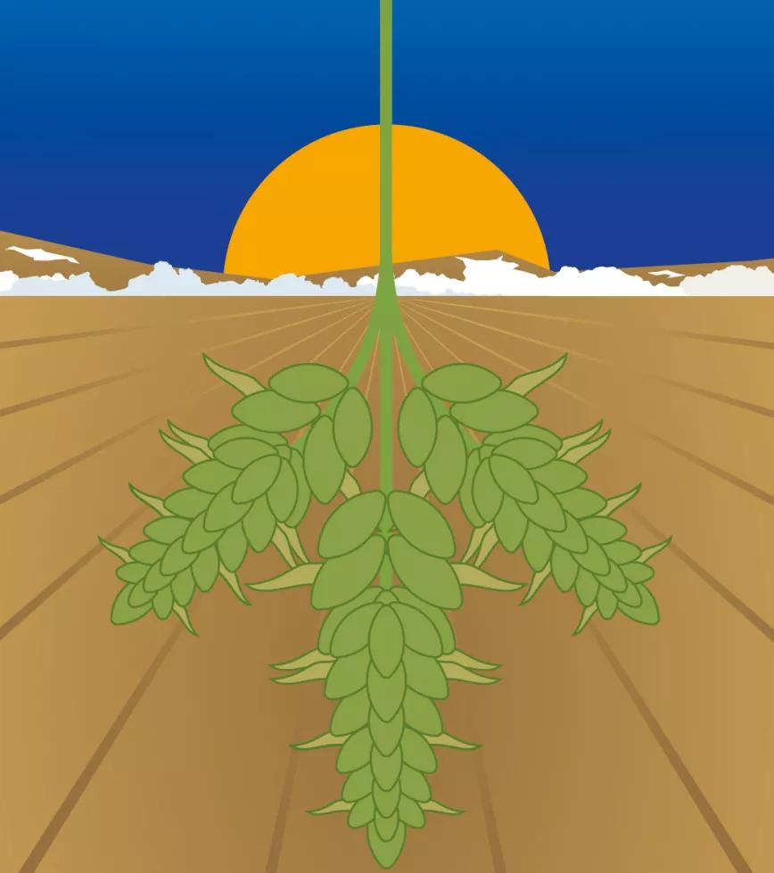 Lunario de febrero del 2021 