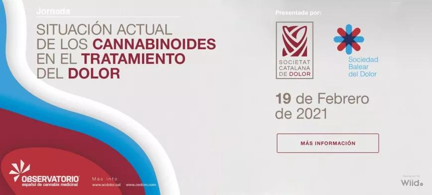 Situació actual dels cannabinoides en el tractament del Dolor
