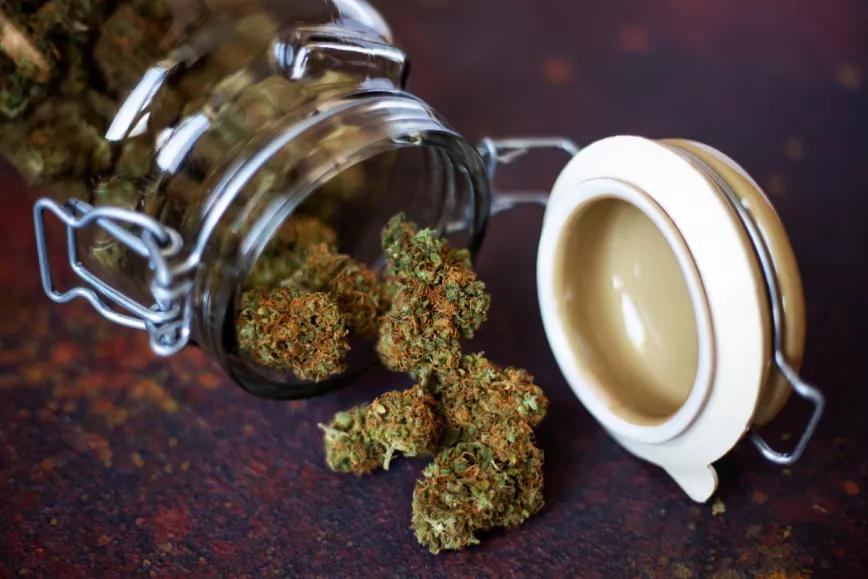 Flores CBD - INDOOR OR OUTDOOR - ¿Cuál es la mejor opción 