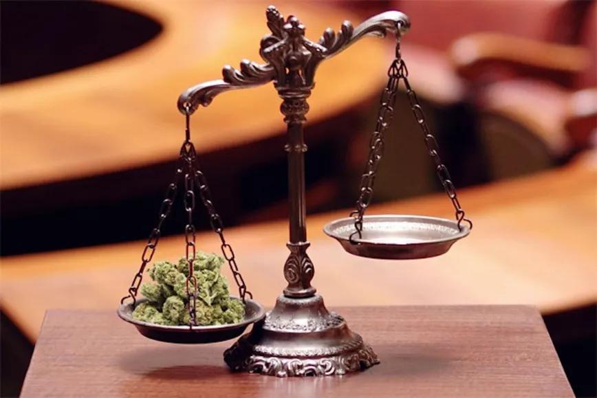 Absuelven al presidente de un club de cannabis en Valencia por un registro sin permiso