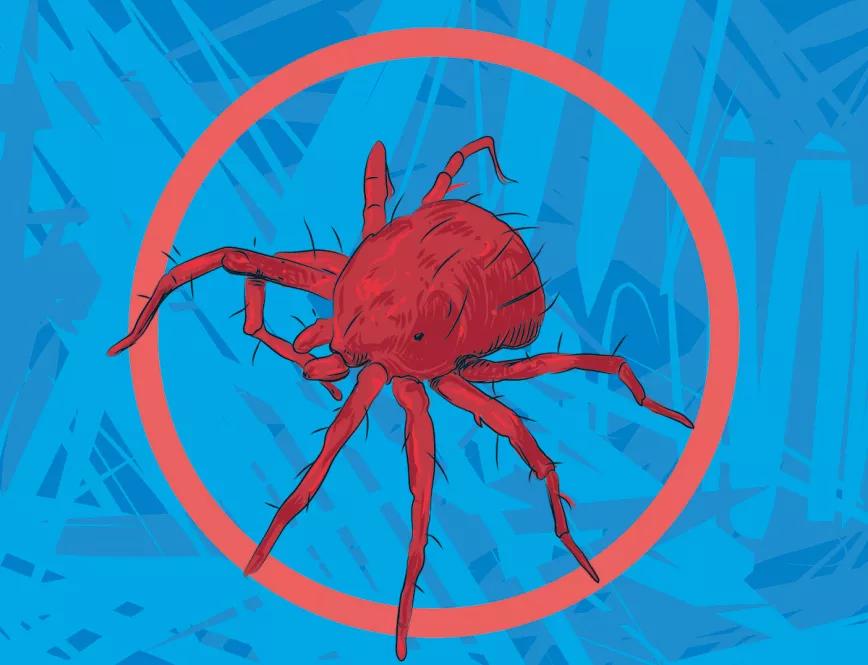 La cosecha desastrosa 