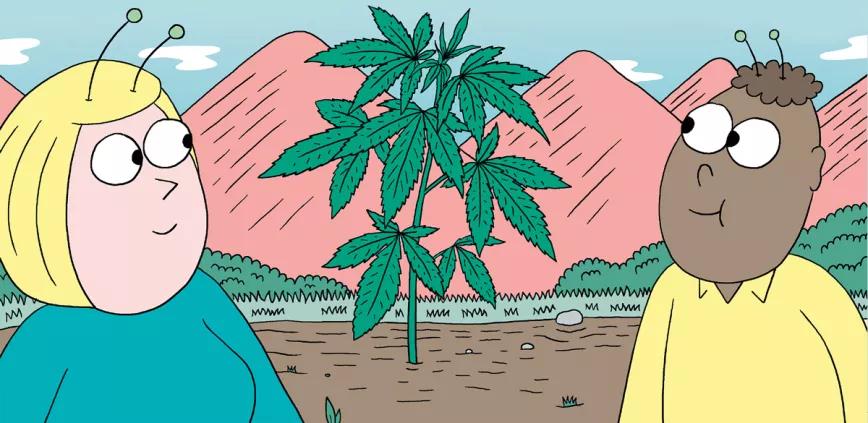 Once consejos para el crecimiento