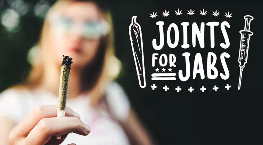 Activistas de Washington DC preparan los porros para regalar a los vacunados por covid 