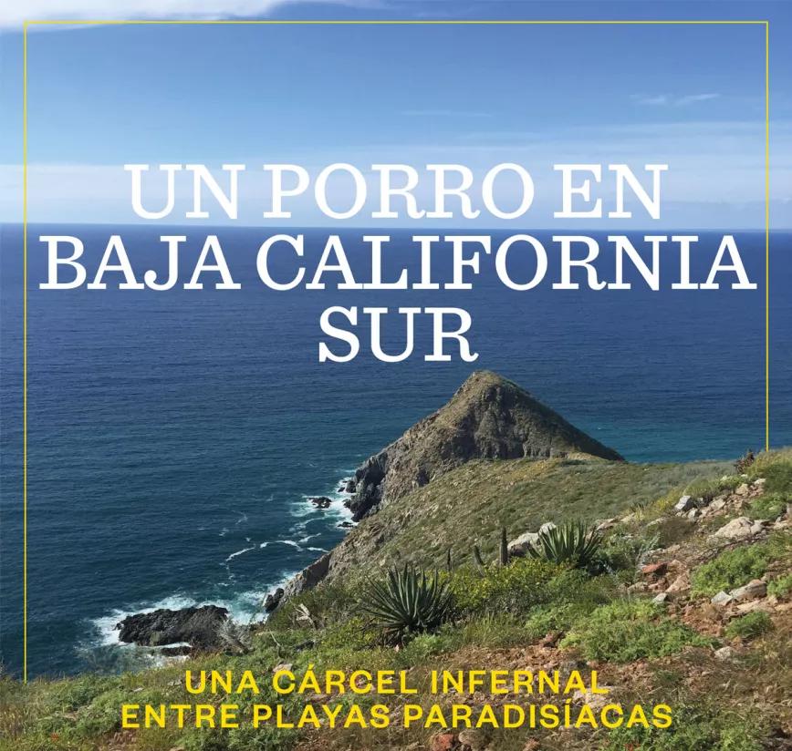 Un porro en Baja California Sur