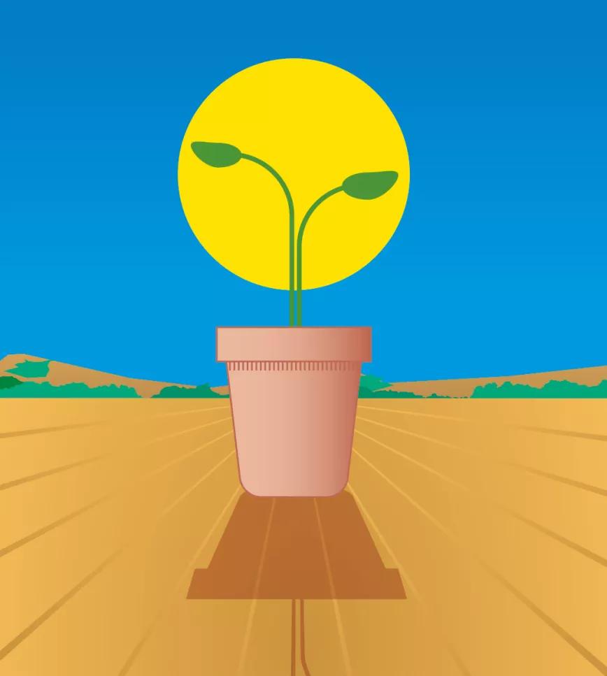 Lunario de mayo de 2021