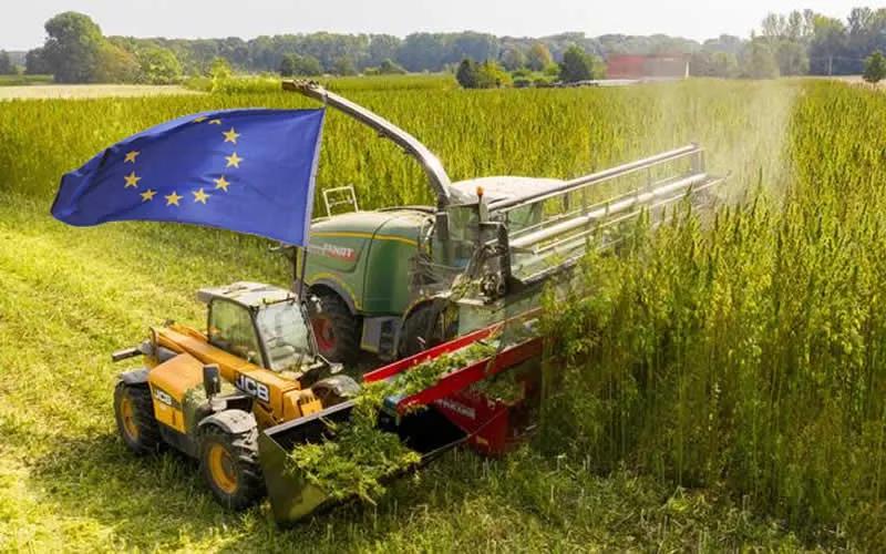 La Asociación Europea del Cáñamo Industrial reclama una normativa unificada para la UE