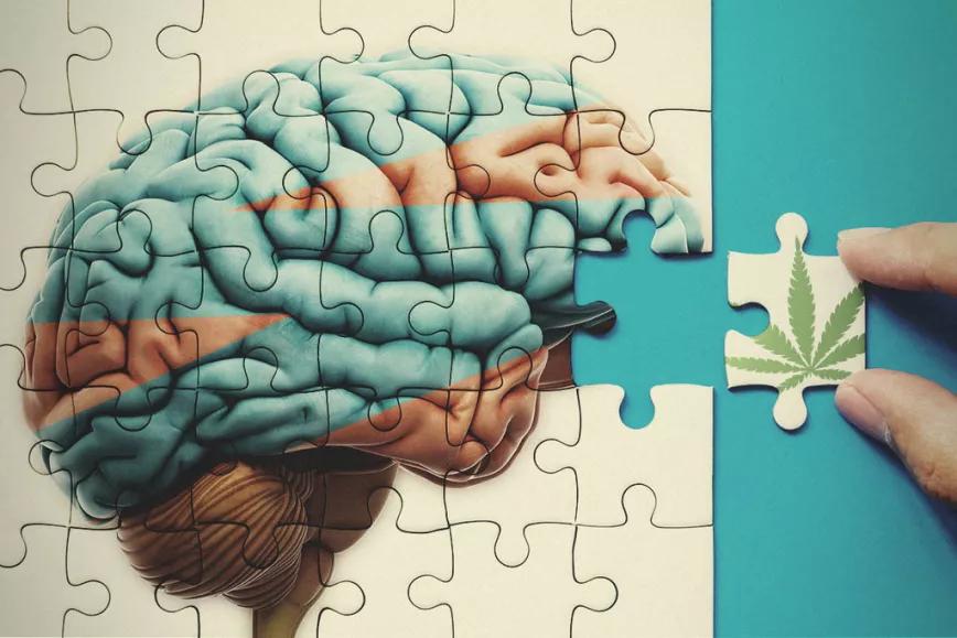 Publican una revisión de los estudios sobre uso de cannabis en autismo infantil