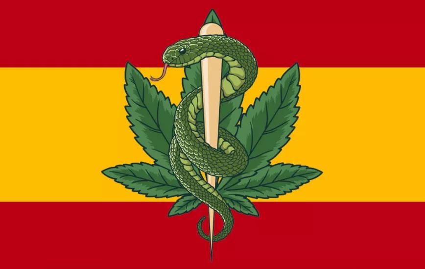 Claves para saber qué puede pasar con el futuro del cannabis medicinal en España (I: Los posibles desastres)