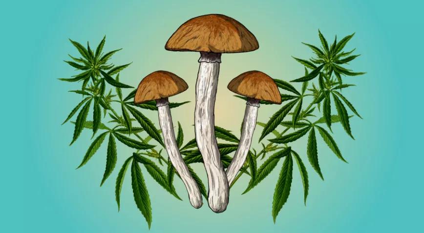 El Senado de Texas aprueba un proyecto para estudiar los beneficios de la psilocibina, la MDMA y la ketamina