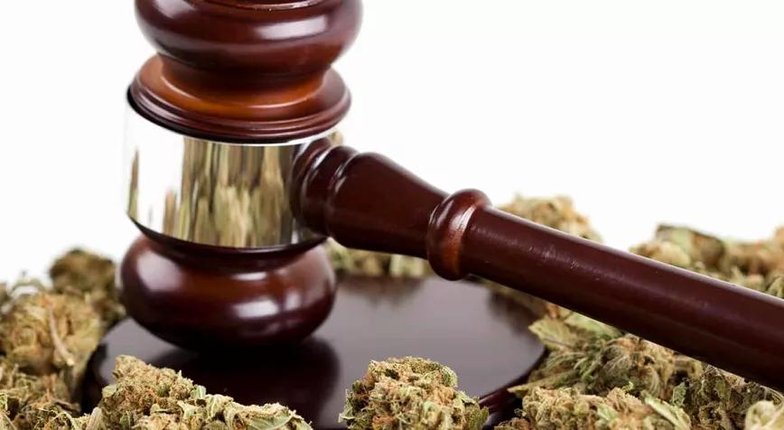 Absuelto un estudiante universitario acusado de tráfico al defender que el cannabis le ayudaba a estudiar